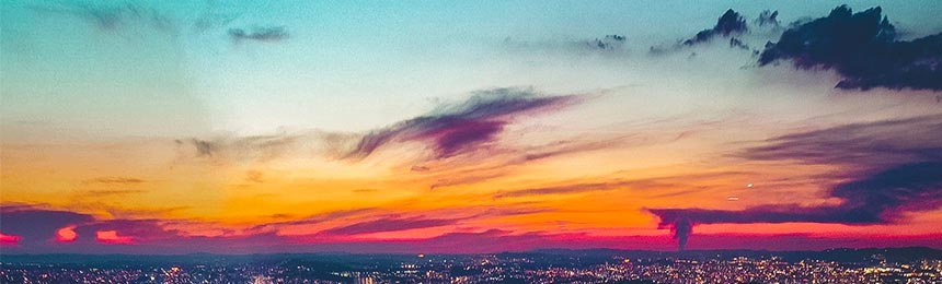 莆田茶虫网_莆田品茶